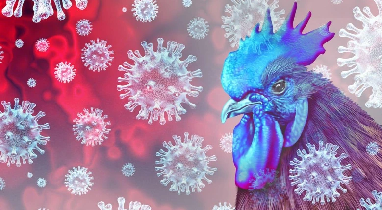 Blue rooster amid floating virus particles, illustrating avian disease or bird flu.