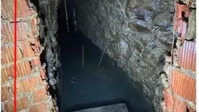 Brick-framed tunnel entrance with rough rock walls, leading into a dark cave-like interior with pooled water at the bottom.