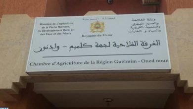 IMG-20260708-WA0316 | MCG24 | موقع إلكتروني مغربي شامل متجدد على مدار الساعة