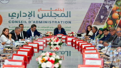 المكتب الجهوي للاستثمار الفلاحي لسوس ماسة يستعرض حصيلة 2025 ويؤكد تسريع مشاريع الري | MCG24 | موقع إلكتروني مغربي شامل متجدد على مدار الساعة المكتب الجهوي للاستثمار الفلاحي لسوس ماسة يستعرض حصيلة 2025 ويؤكد تسريع مشاريع الري